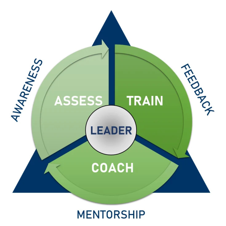 Our leader development model centers on the individual and unfolds in three clear stages—Assess, Train, Coach—backed by organizational Awareness, Feedback, and Mentorship.
